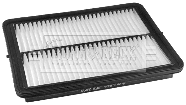 Air Filter (BFA2493)