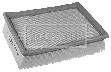 Air Filter (BFA2229)
