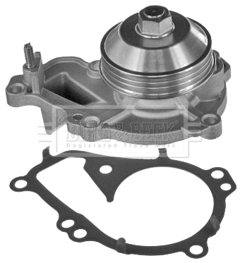Water Pump, engine cooling (BWP2363)