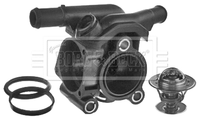 Thermostat, coolant (BBT108)