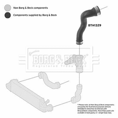Charge Air Hose (BTH1329)