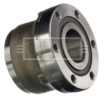 Wheel Bearing Kit (BWK766)