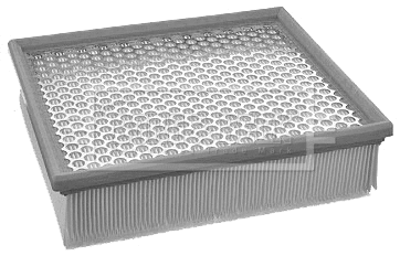 Air Filter (BFA2171)