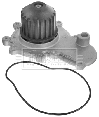 Water Pump, engine cooling (BWP1675)