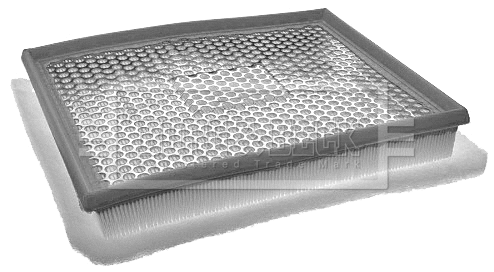 Air Filter (BFA2034)