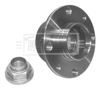 Wheel Bearing Kit (BWK313)