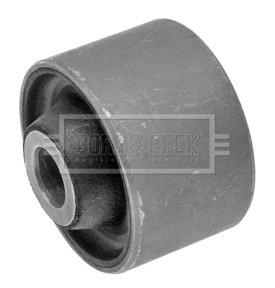 Mounting, control/trailing arm (BSK6966)