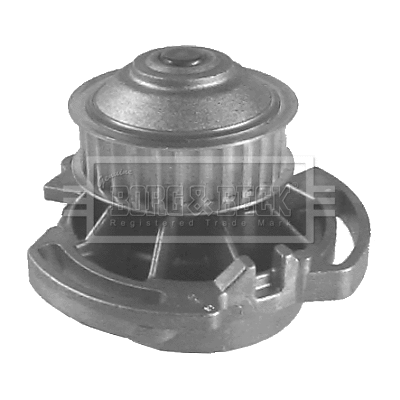 Water Pump, engine cooling (BWP1543)
