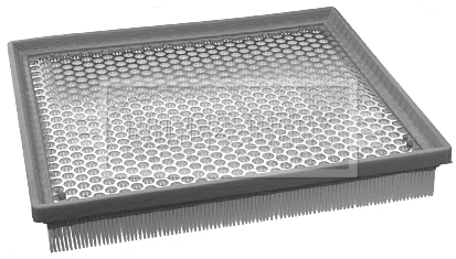 Air Filter (BFA2081)