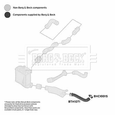 Charge Air Hose (BTH1071)