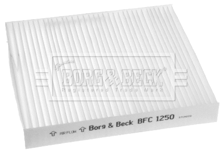 Filter, cabin air (BFC1250)