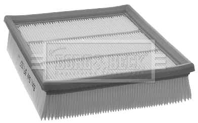 Air Filter (BFA2137)
