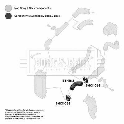 Charge Air Hose (BTH1113)