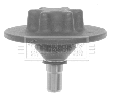 Ball Joint (BBJ5564)