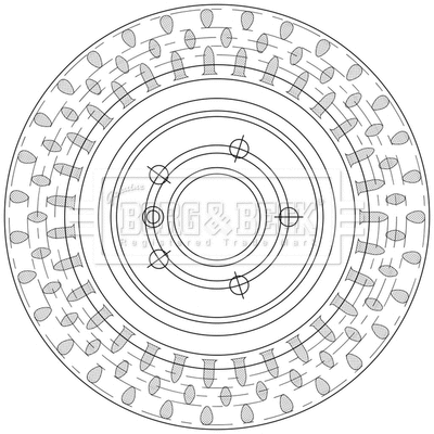 Brake Disc (BBD5558)