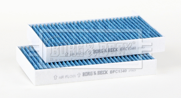 Filter, cabin air (BFC1340)