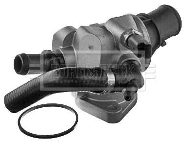 Thermostat, coolant (BBT206)