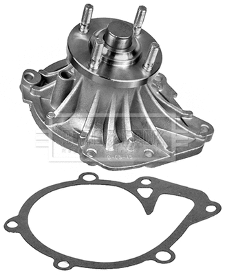 Water Pump, engine cooling (BWP2041)