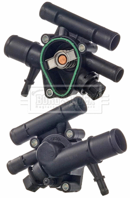 Thermostat, coolant (BBT118)