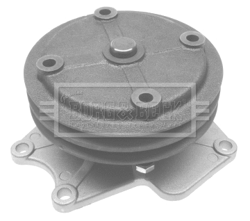 Water Pump, engine cooling (BWP1995)