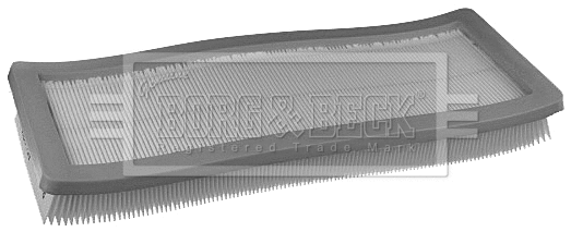 Air Filter (BFA2252)