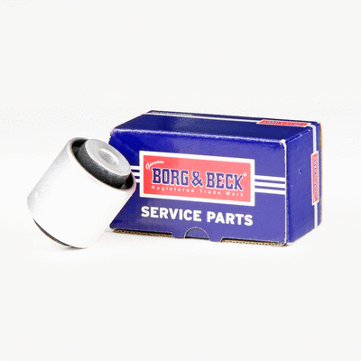 Mounting, control/trailing arm (BSK8163)