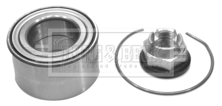 Wheel Bearing Kit (BWK794)