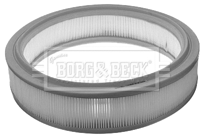 Air Filter (BFA2042)