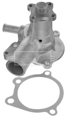 Water Pump, engine cooling (BWP1358)