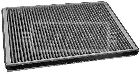 Filter, cabin air (BFC1163)