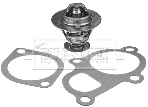 Thermostat, coolant (BBT418)