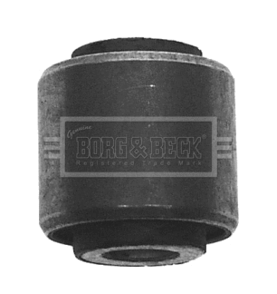 Mounting, control/trailing arm (BSK6197)