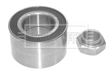 Wheel Bearing Kit (BWK467)