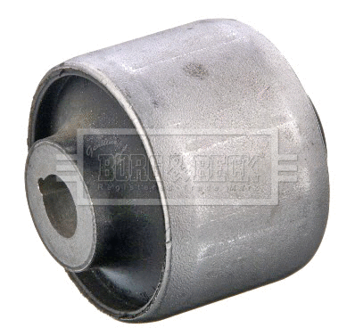 Mounting, control/trailing arm (BSK8123)