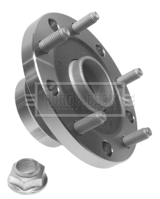 Wheel Bearing Kit (BWK1080)
