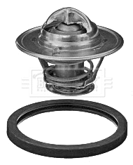 Thermostat, coolant (BBT359)