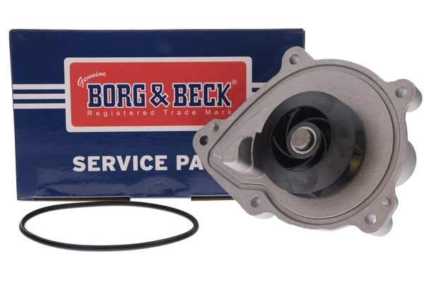 Water Pump, engine cooling (BWP2195)