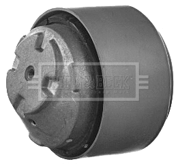 Mounting, engine (BEM3913)