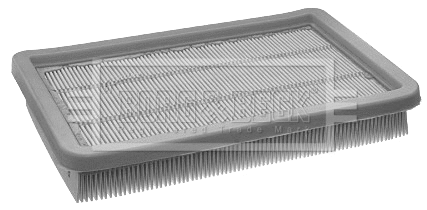 Air Filter (BFA2192)