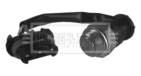 Temperature Switch, radiator fan (BTS845.99)