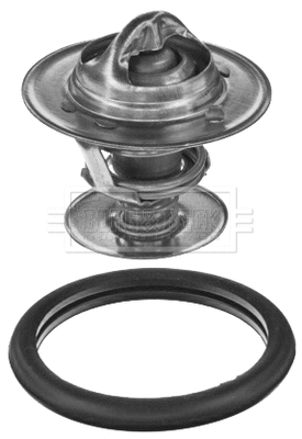 Thermostat, coolant (BBT347)