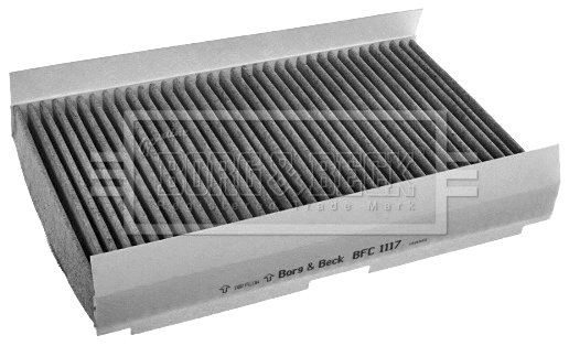 Filter, cabin air (BFC1117)