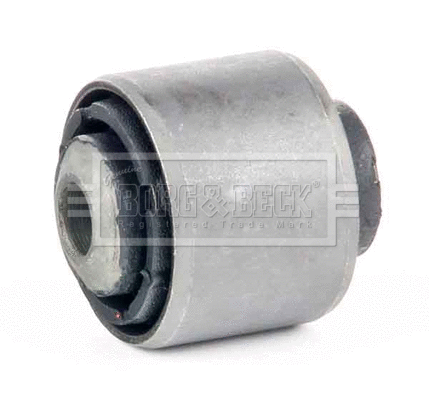 Mounting, control/trailing arm (BSK8145)