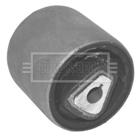 Mounting, control/trailing arm (BSK6845)