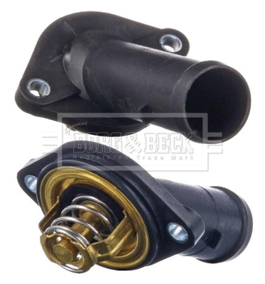 Thermostat, coolant (BBT498)