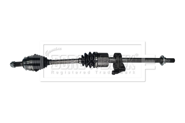 Drive Shaft (BDS1103)