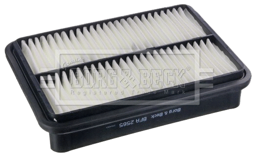 Air Filter (BFA2565)