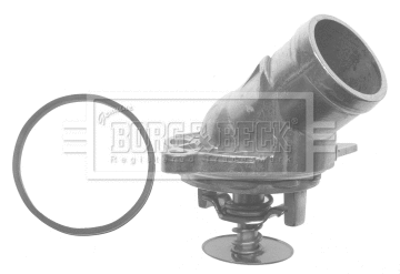 Thermostat, coolant (BTS337.87)