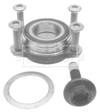 Wheel Bearing Kit (BWK1250)