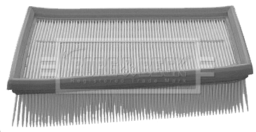 Air Filter (BFA2094)